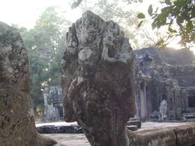 Naga