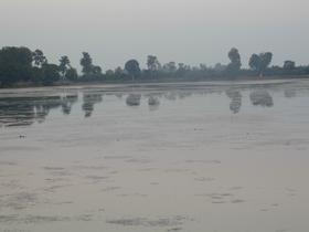 Sras Srang